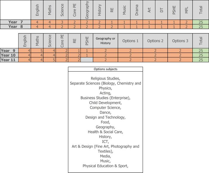 Curriculum & Options