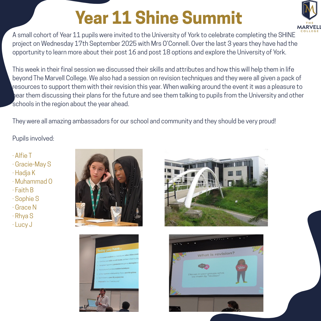 Year 11 Shine Summit